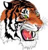 Foto de El Tigre Division Comercial