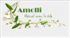 Foto de Amolli (proyecto estudiantil)